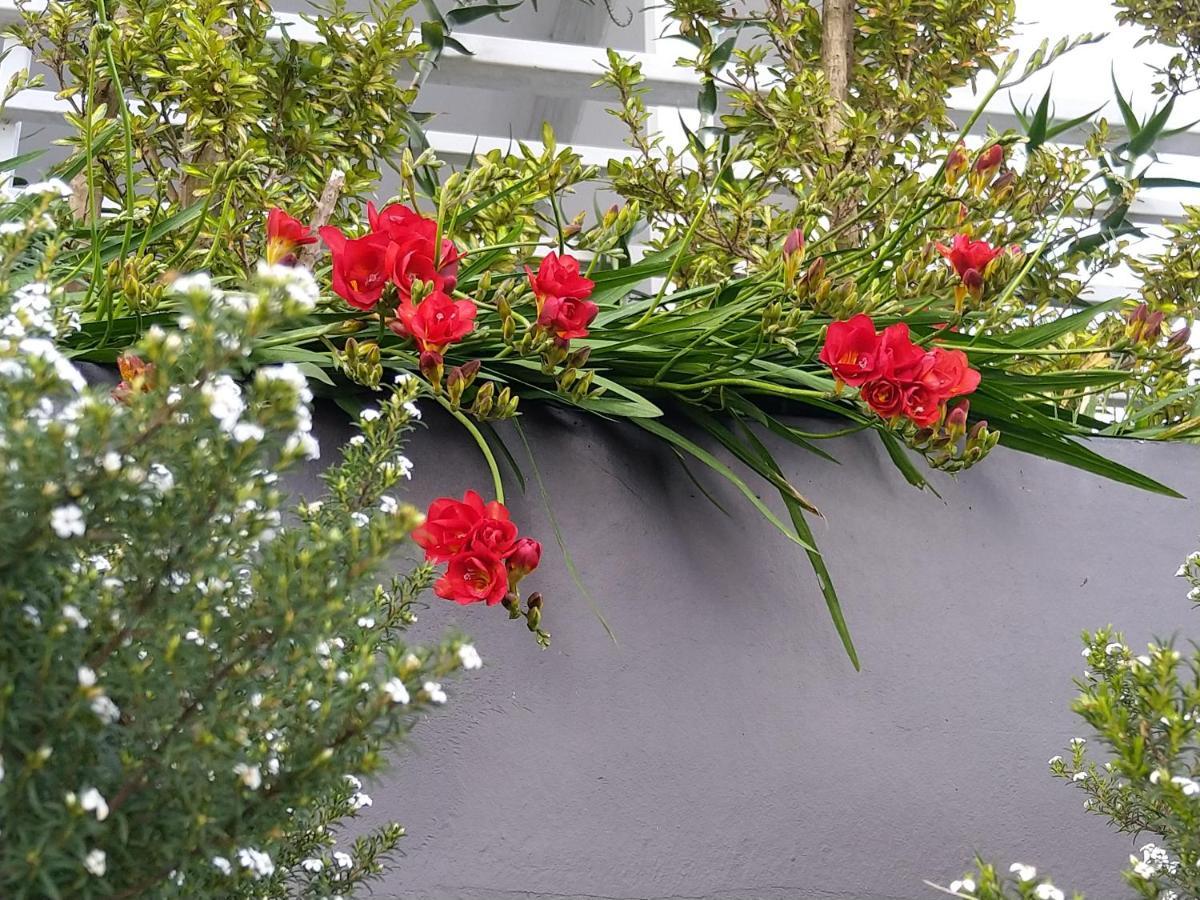 C'Est La Vie Bed & Breakfast Όλμπανι Εξωτερικό φωτογραφία